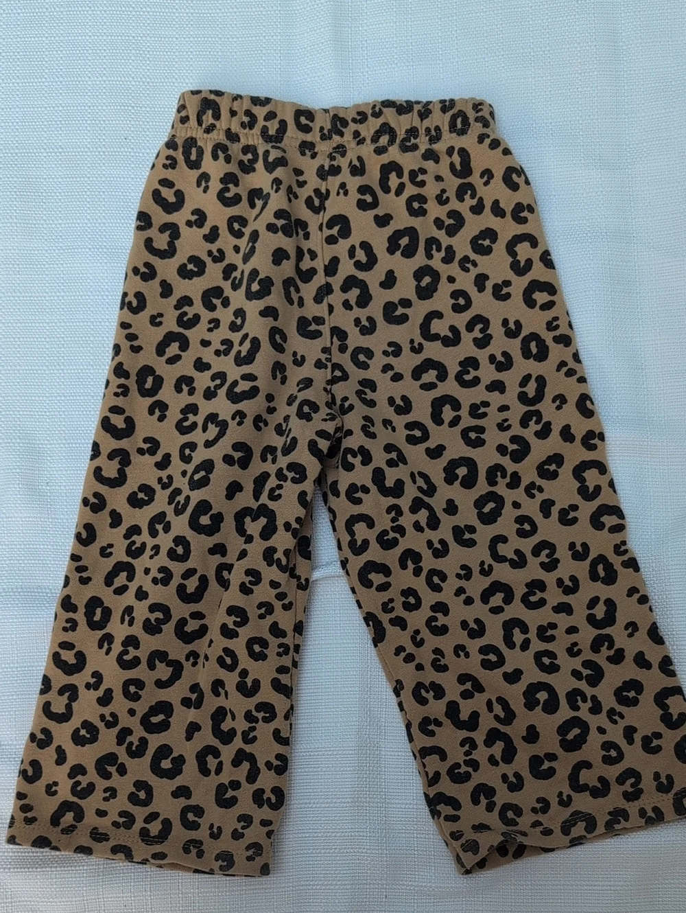 Orange Set Leopard Applique Fleece Long Sleeve Top And Leopard-Print Pants 2T